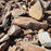 Moss Rock Small (50-300mm)