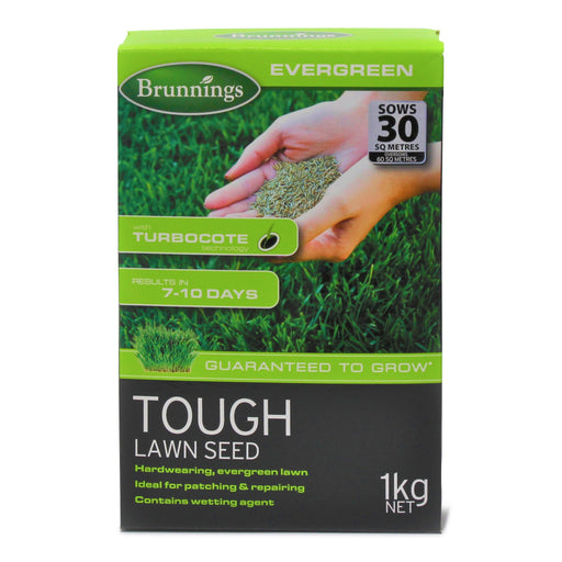 Tough Lawn Seed